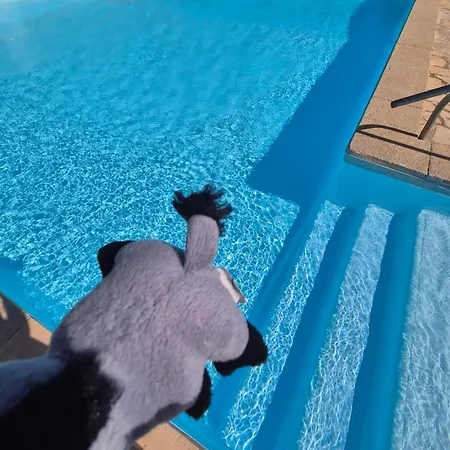 Havre De Paix Appart Climatise,Piscine,Wifi Le Barcares Exterior photo