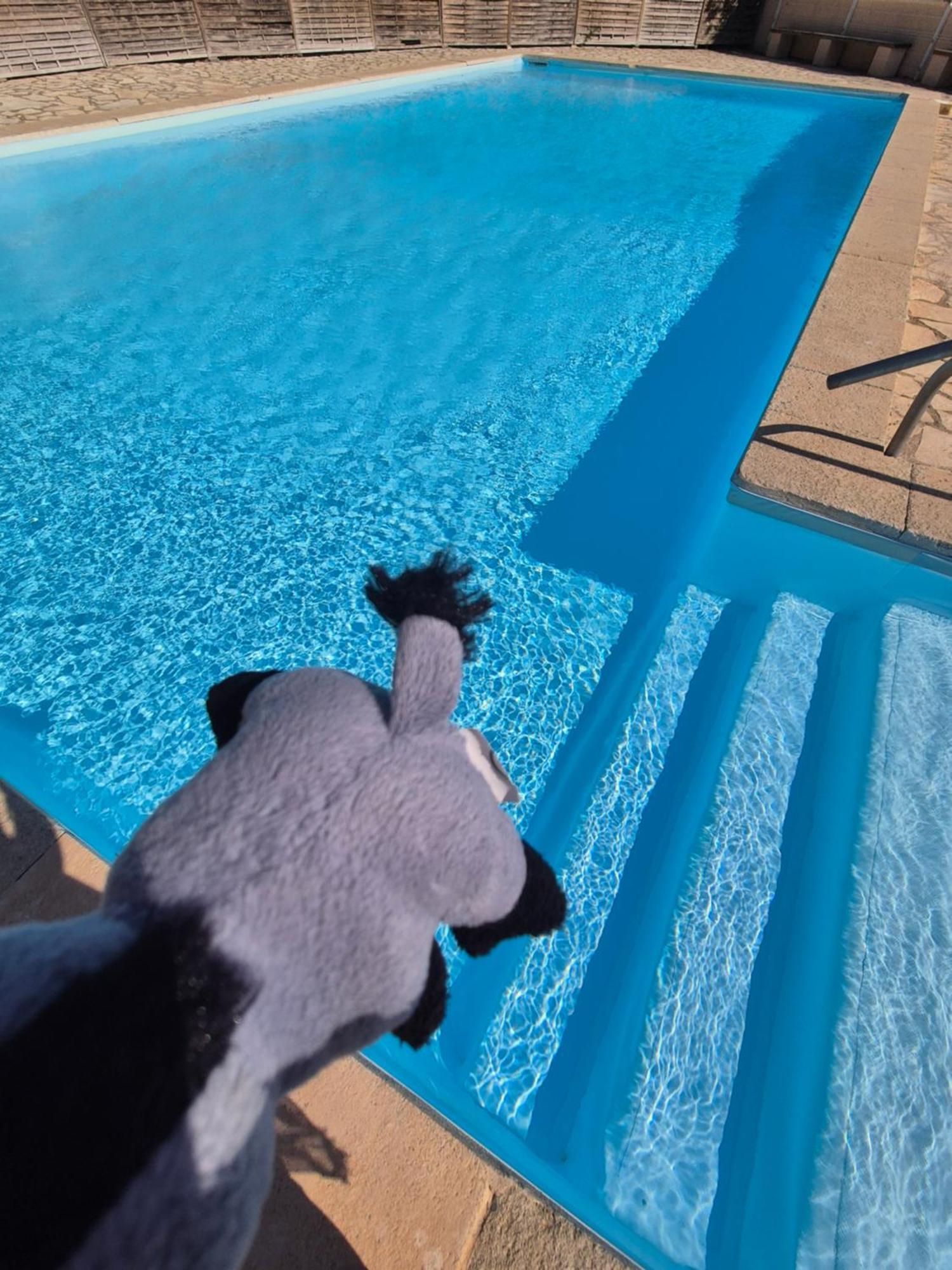 Apartment Havre De Paix Climatise,piscine,wifi *